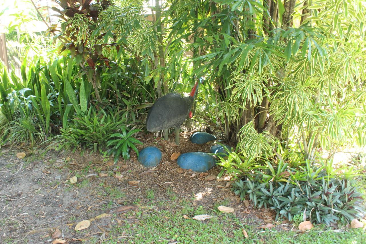 Dunk Island View Caravan Park Wongaling Beach Luaran gambar