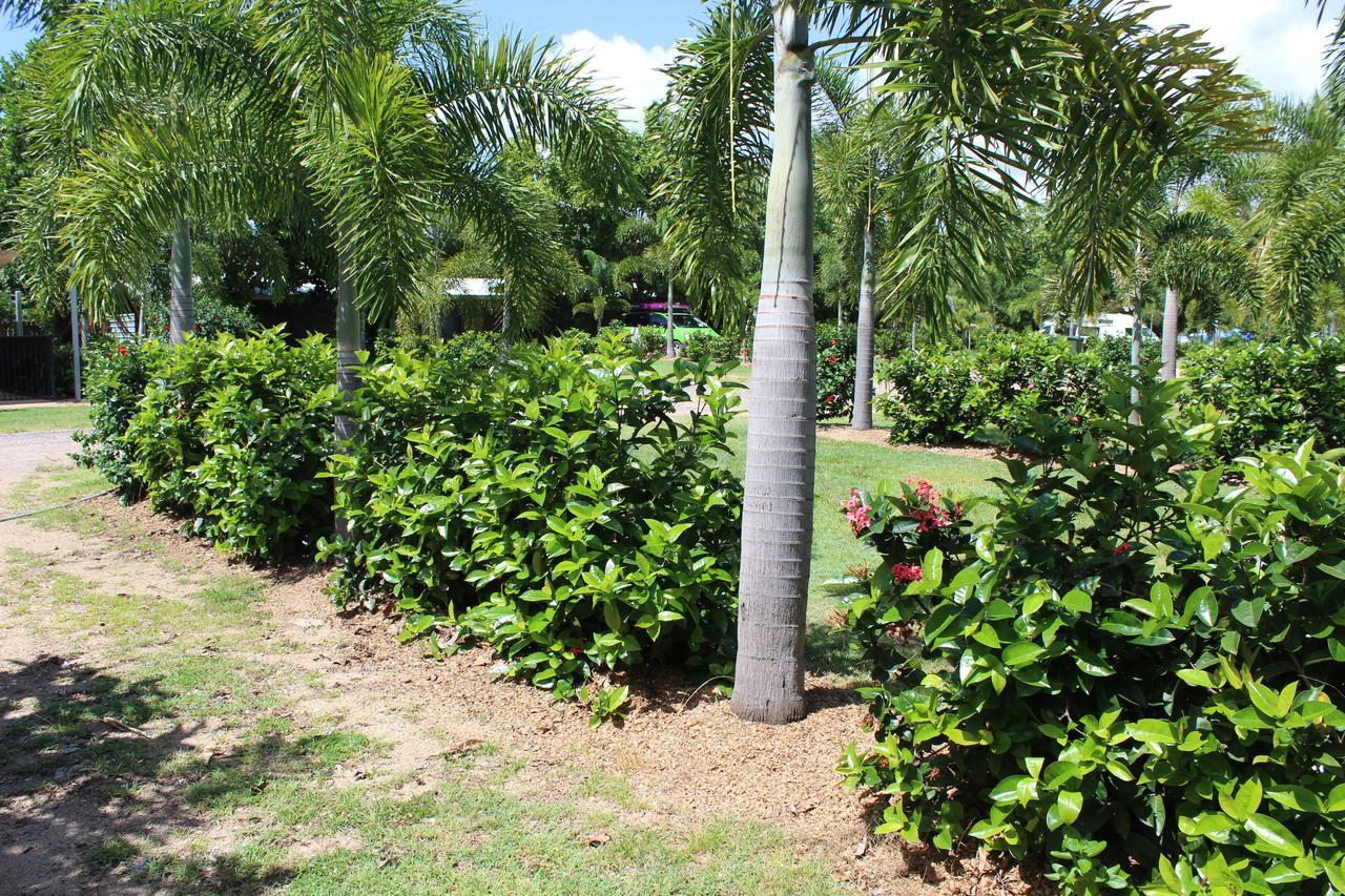 Dunk Island View Caravan Park Wongaling Beach Luaran gambar